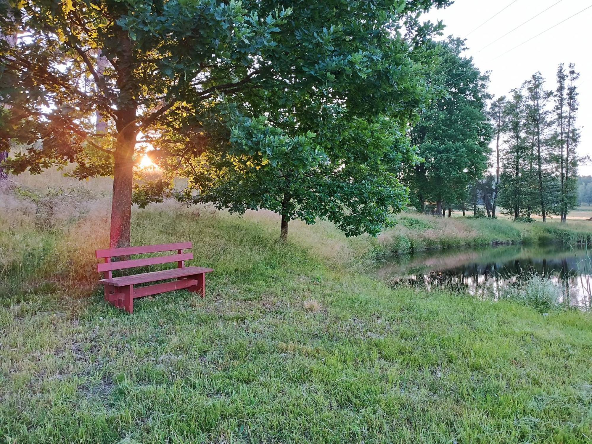 Nová Bystřice Klidna Lokalita Na Kraji Lesa, Cely Dum S Uschovnu Kol 빌라 외부 사진